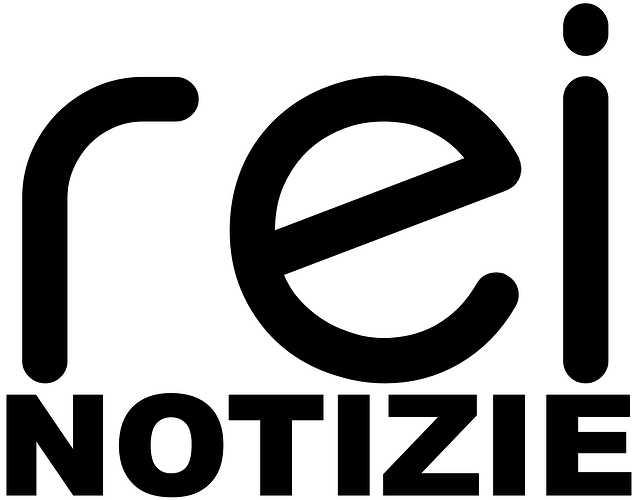 rei_notizie.thumb.png.ef6142b397516e40c83028f9174fdbe8.png