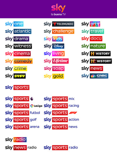 SkyNetworksPortfolio.thumb.png.321db58e00a0ab3987a5169258a03cde.png
