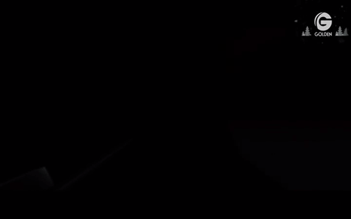 golden.thumb.png.f01cb81eeec899a3fd368b0dd89c9586.png