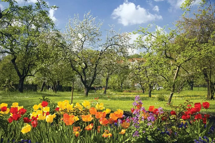 Spring-flowers-fruit-trees-bloom.thumb.webp.1049e8d6e59bbd76c225de7e7f7ec270.webp