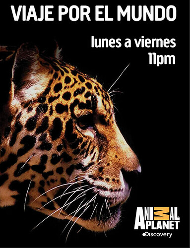 41061268_ViajeporelMundoAnimalPlanet2016issuu-muyinteresantemx.png.af8dfd1b5af254159829e2ee4db0e09b.png