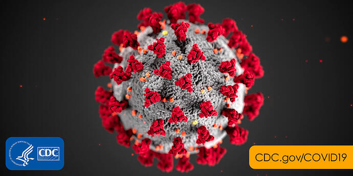 2019-coronavirus.thumb.png.726df55bdb633142b3d2272f08ee14ed.png