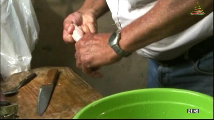 184321491_Screenshot_20211209-224950_TeleLatino.thumb.jpg.a60bc4451205fc261cc88d388946fa74.jpg