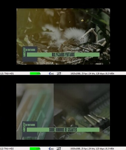 sSN1uJE.jpg