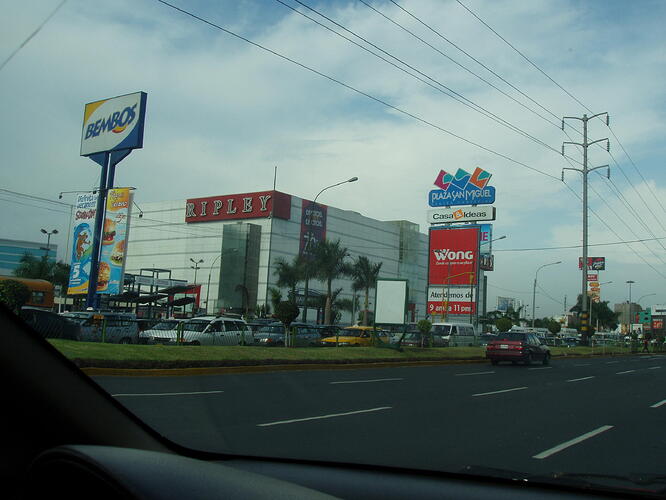 1236431940_Ripleysanmiguelfeb2009.thumb.jpg.4335315d714aeccfcf007eb7ec664461.jpg