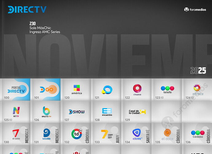 DTV - 11.NOV2025 foromedios