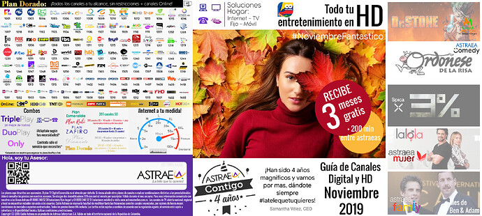 Grilla-HD-Astraea-Noviembre-2019.thumb.png.739b5999a44b81816696b414a8273fcd.png