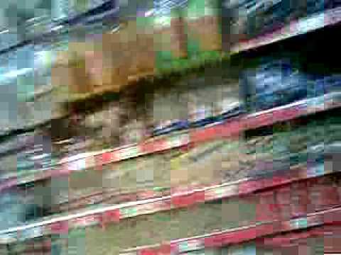 Visitando Plaza lima norte con vero y javicho 3