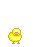 :pollito: