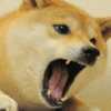 :rar: