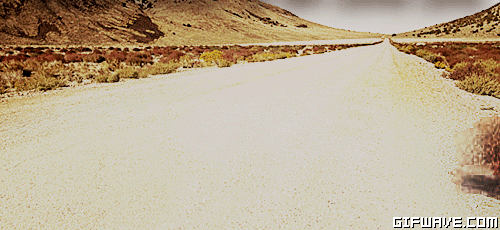 559395_landscape-tumbleweed.gif.13c9febed0e78f6b616f3040fdaf5bf1.gif
