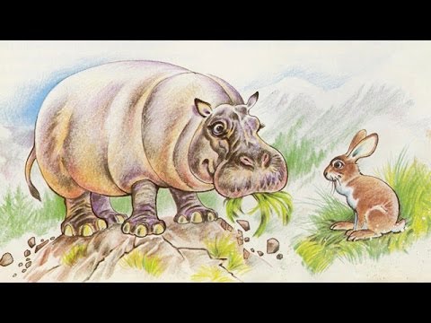 Cuenta Cuentos: El conejo forzudo.