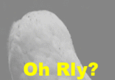 :orly: