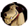 :patan: